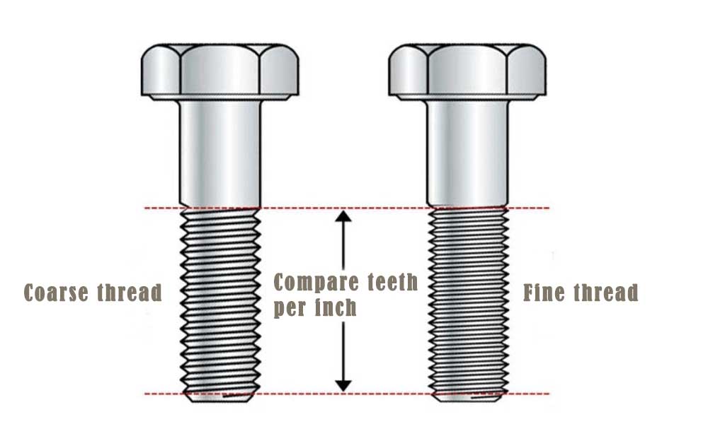 粗牙细牙对比图Comparison chart of coarse teeth and fine teeth