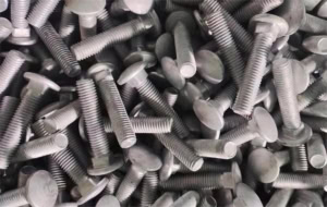 coach bolts